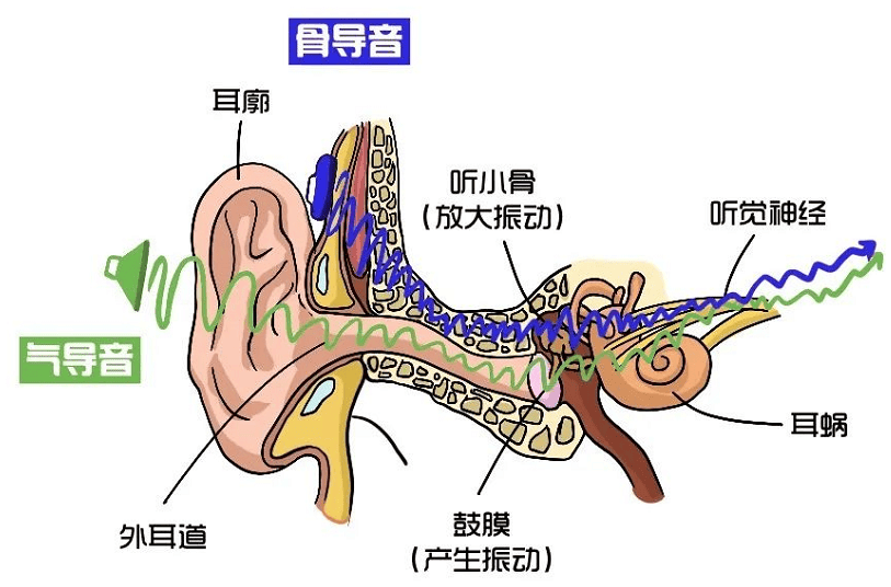 传导耳机评测革新聆听体验的新标杆long8唯一登录塞那G6S气(图5)